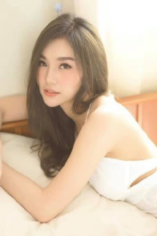 狗片